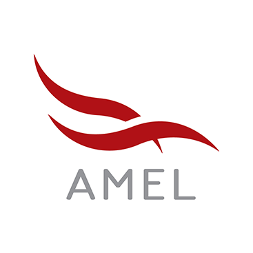 AMEL (Aviation & Marine Engineering Ltd)